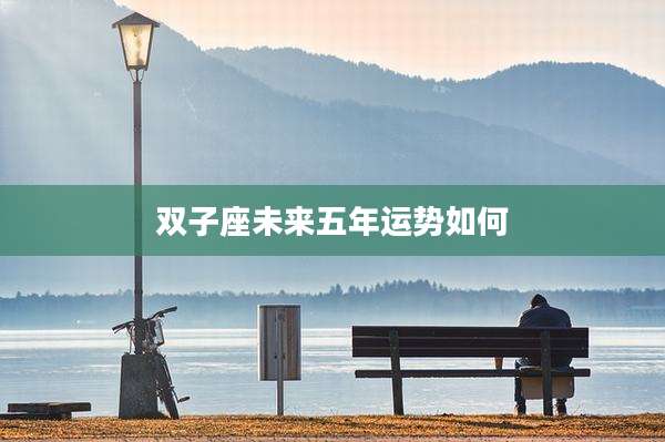 双子座未来五年运势如何