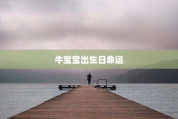 牛宝宝出生日命运