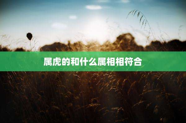 属虎的和什么属相相符合