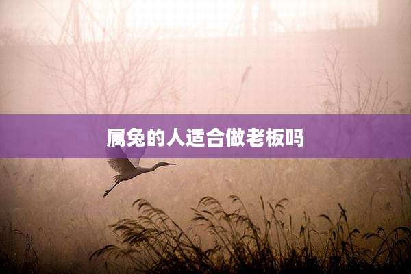 属兔的人适合做老板吗