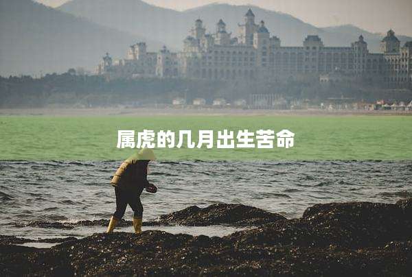 属虎的几月出生苦命