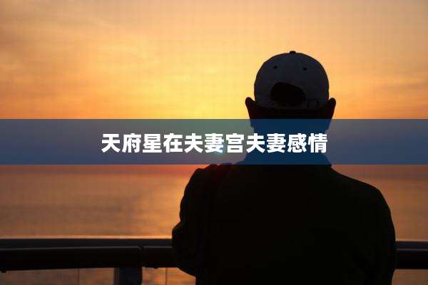 天府星在夫妻宫夫妻感情