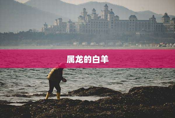 属龙的白羊