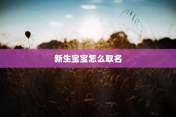 新生宝宝怎么取名