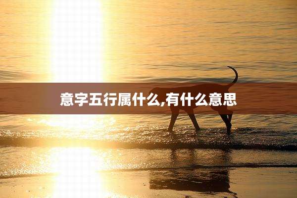 意字五行属什么,有什么意思