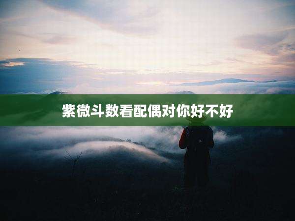 紫微斗数看配偶对你好不好