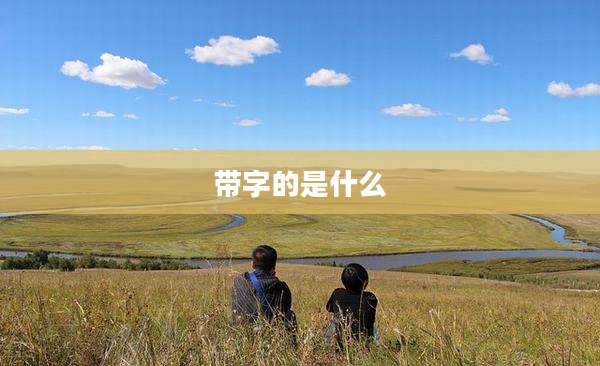 带字的是什么