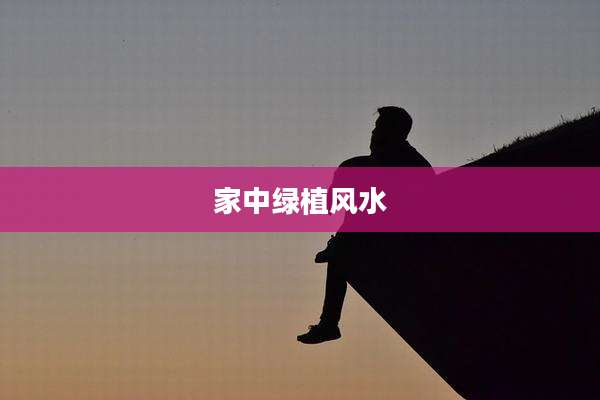 家中绿植风水