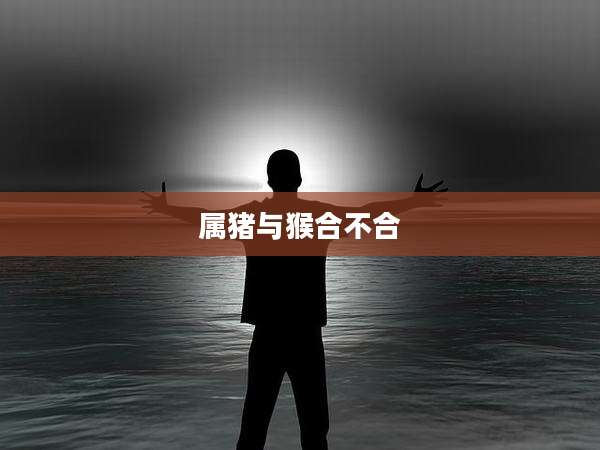 属猪与猴合不合