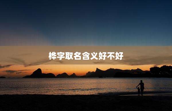 桦字取名含义好不好