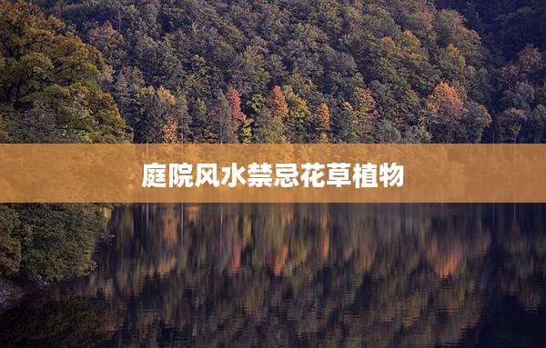 庭院风水禁忌花草植物