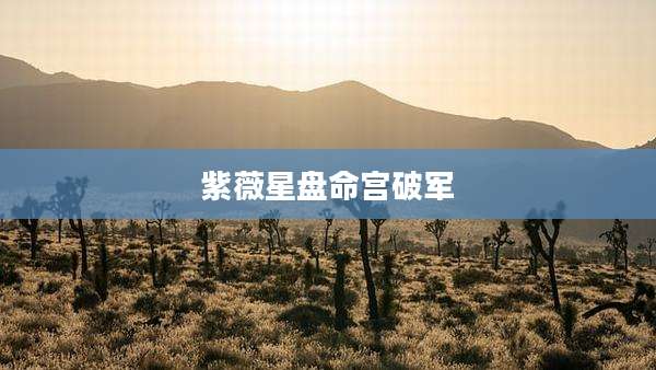 紫薇星盘命宫破军