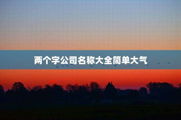 两个字公司名称大全简单大气