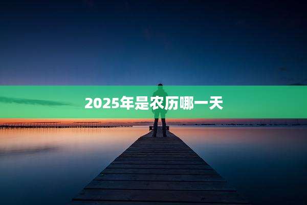 2025年是农历哪一天