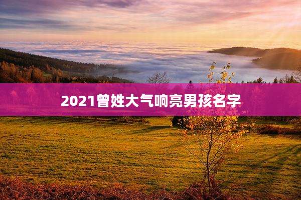 2021曾姓大气响亮男孩名字