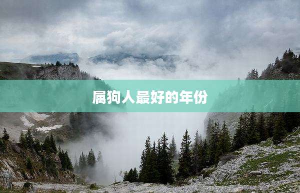 属狗人最好的年份