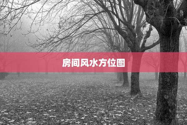 房间风水方位图