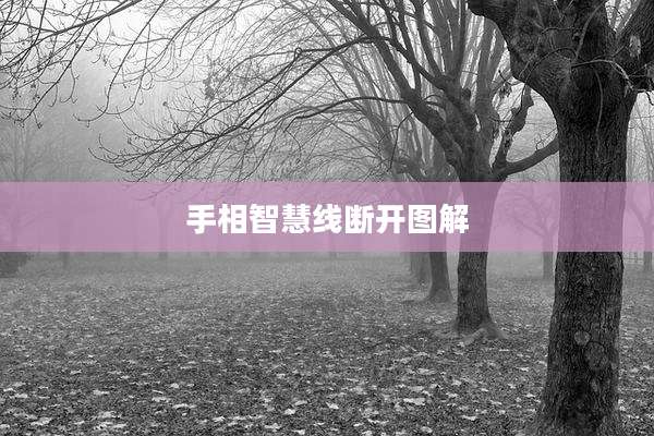 手相智慧线断开图解