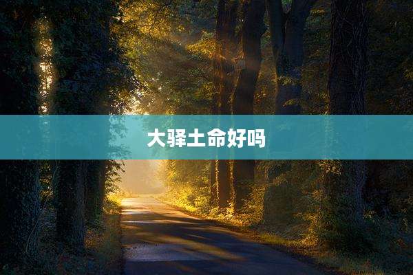 大驿土命好吗