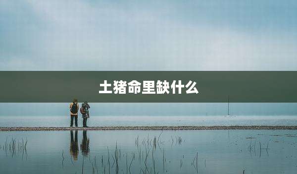 土猪命里缺什么