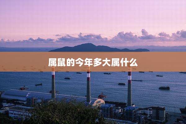 属鼠的今年多大属什么