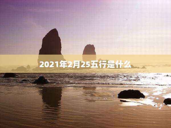 2021年2月25五行是什么