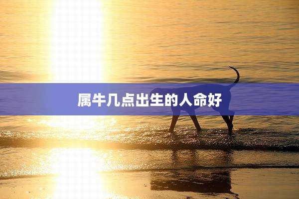 属牛几点出生的人命好