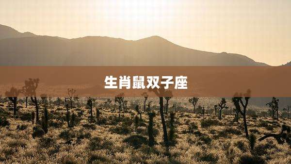 生肖鼠双子座