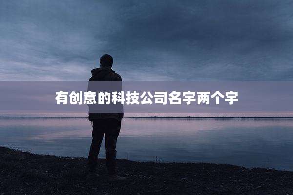 有创意的科技公司名字两个字