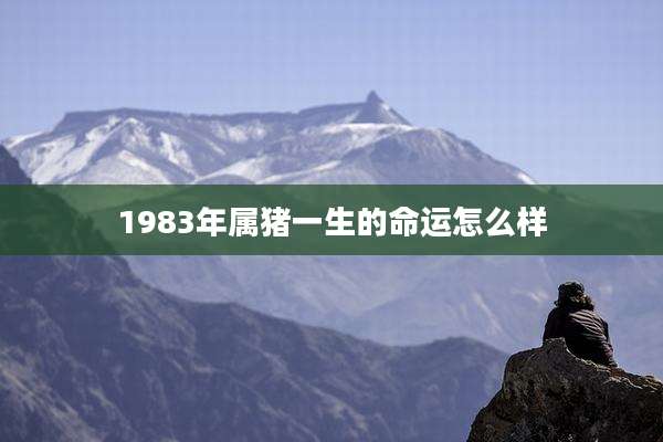 1983年属猪一生的命运怎么样