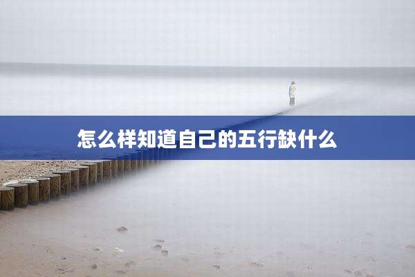 怎么样知道自己的五行缺什么