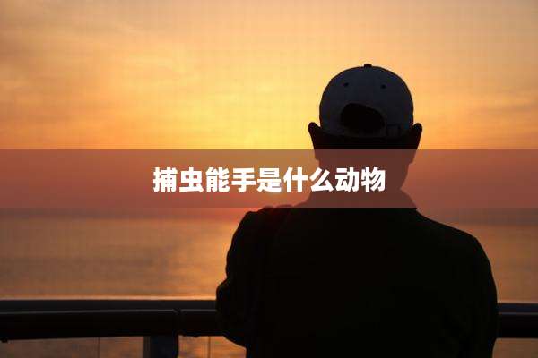 捕虫能手是什么动物