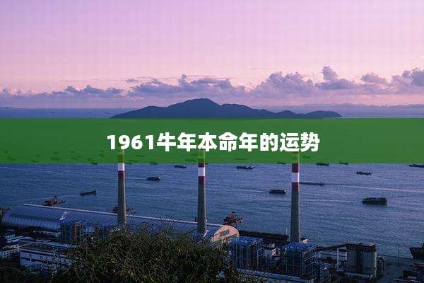 1961牛年本命年的运势