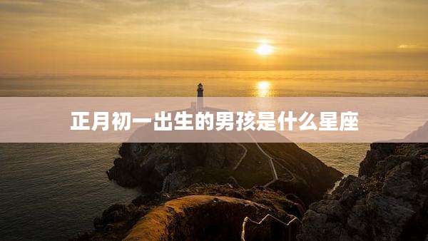 正月初一出生的男孩是什么星座