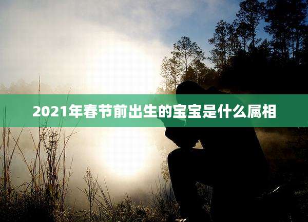 2021年春节前出生的宝宝是什么属相