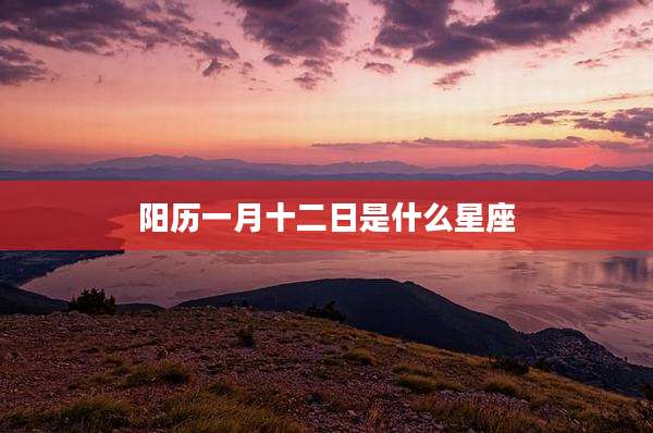 阳历一月十二日是什么星座
