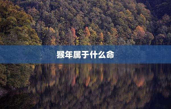 猴年属于什么命