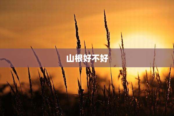 山根好不好
