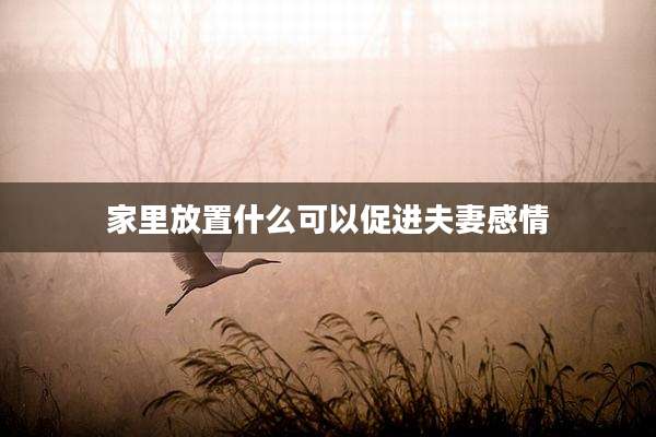 家里放置什么可以促进夫妻感情