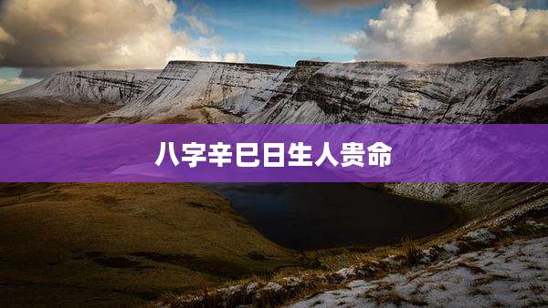 八字辛巳日生人贵命