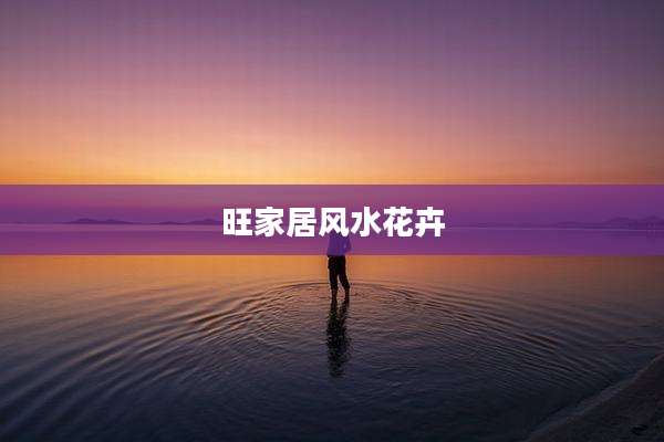 旺家居风水花卉