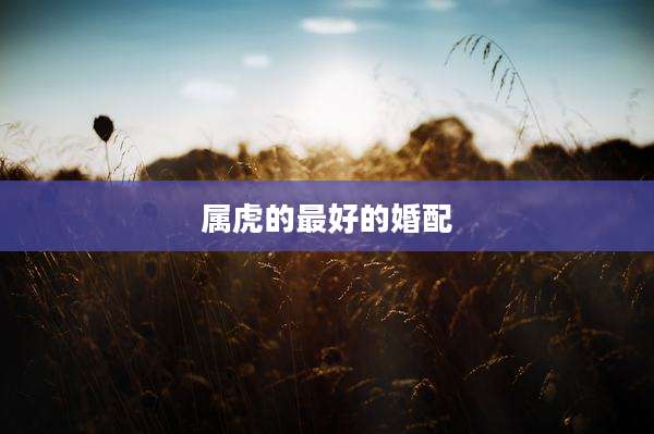 属虎的最好的婚配