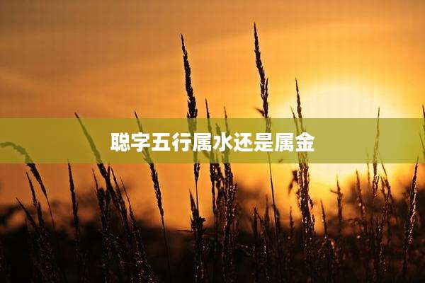 聪字五行属水还是属金