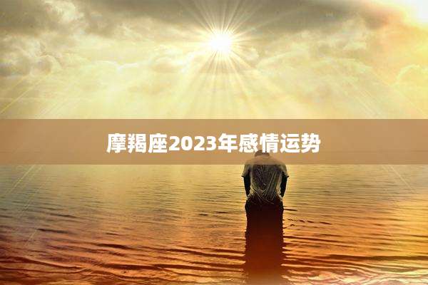摩羯座2023年感情运势