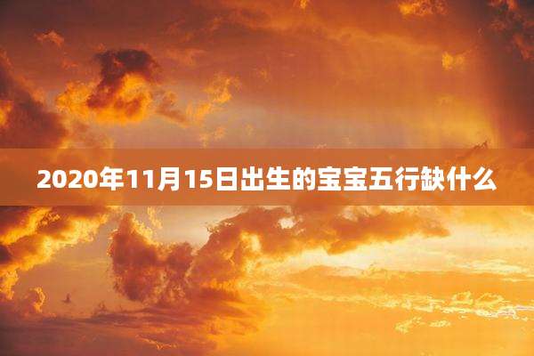 2020年11月15日出生的宝宝五行缺什么