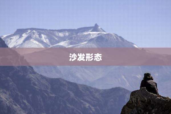 沙发形态