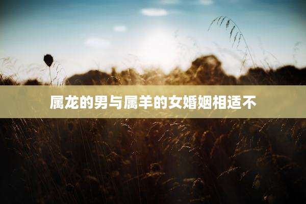 属龙的男与属羊的女婚姻相适不