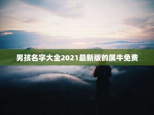 男孩名字大全2021最新版的属牛免费