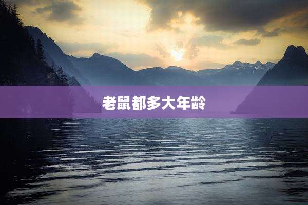 老鼠都多大年龄