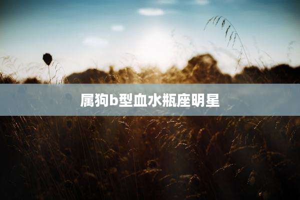 属狗b型血水瓶座明星